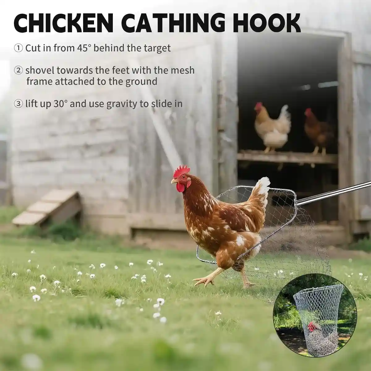 Adjustable Chicken Net Catcher Stainless Steel Poultry Catching Tool - Image 4