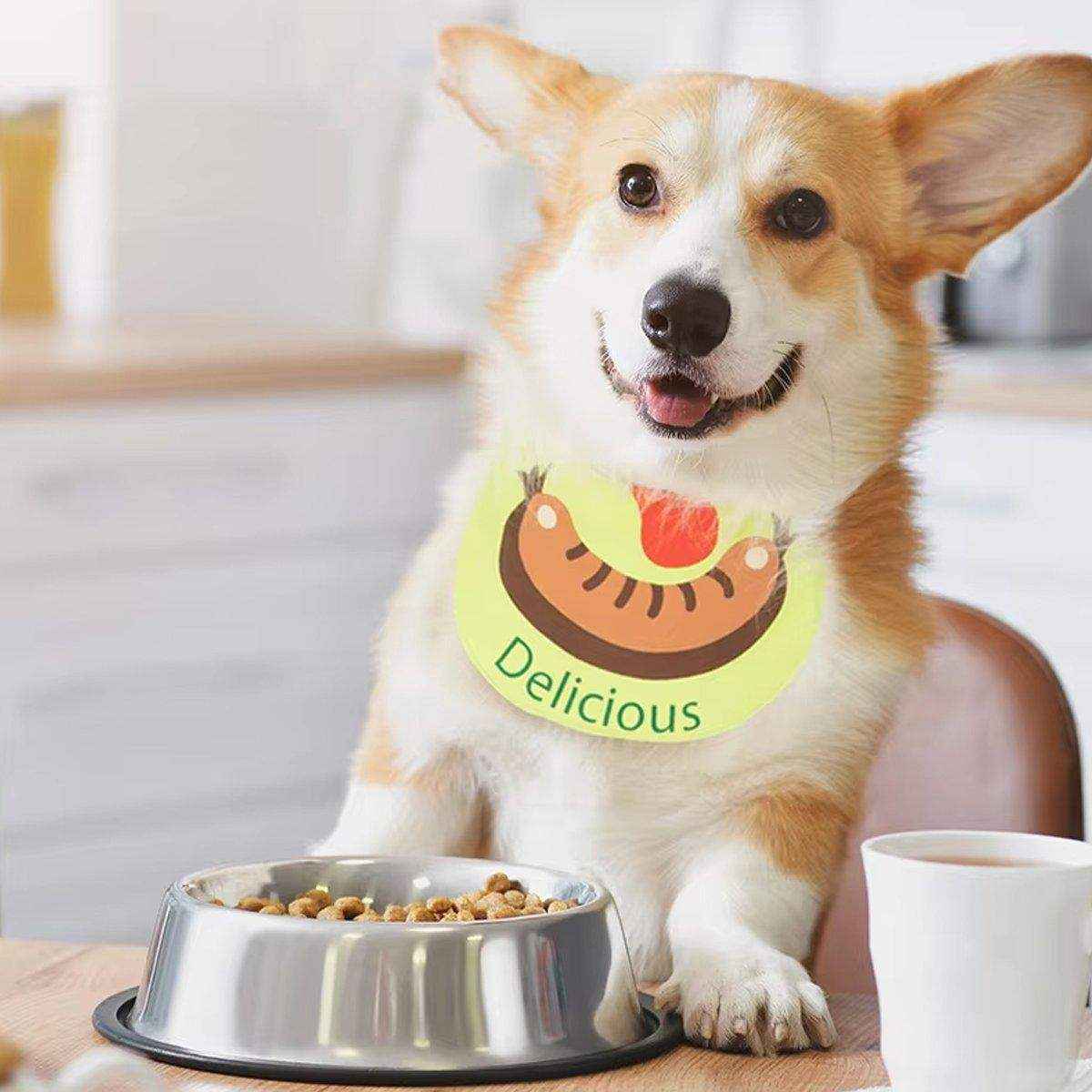 Dirty Cat Slippery Towel Outgoing Slippery Towel Pet Accessories Pet Bib Cotton Dog Slippery Towel - Image 7