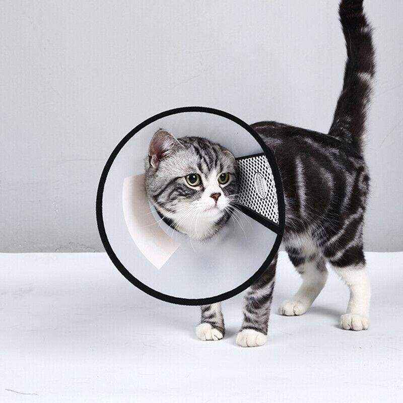 Pet Cone Protective Collar Elizabethan Collars for Cats and Dogs 9 Sizes - Image 11