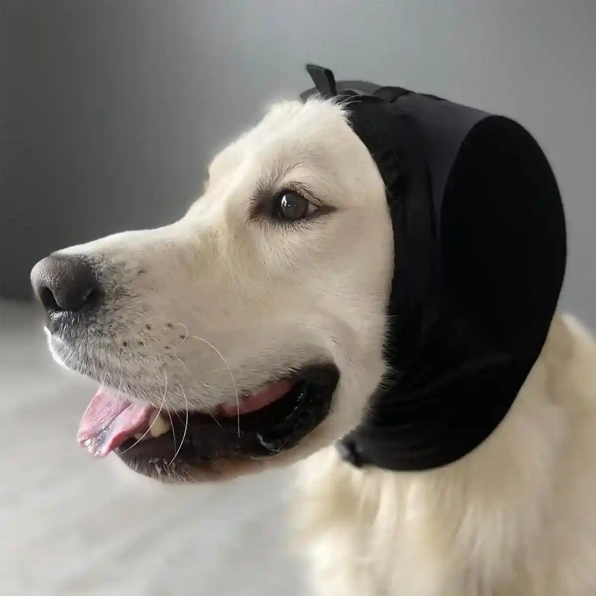Adjustable Dog Ear Muffs Noise Protection for Fireworks & Loud Environments - Image 3
