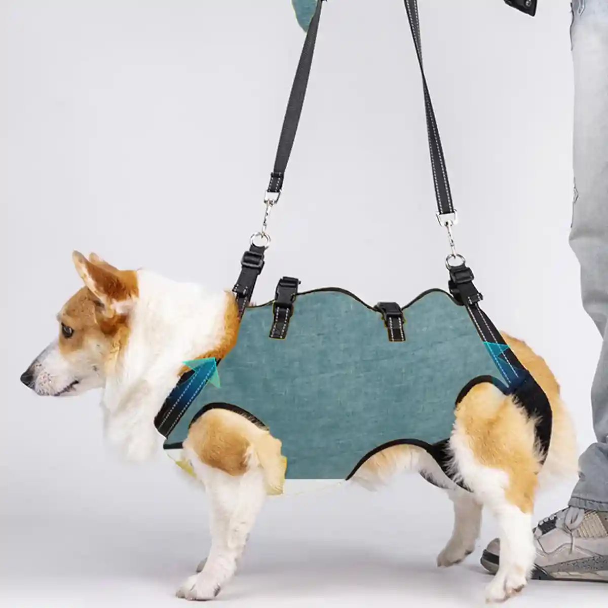 Adjustable Dog Harness Full-Body Support Lift Vest - Image 13