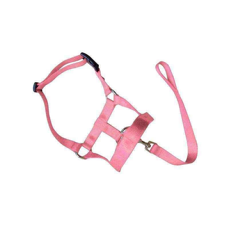 Adjustable Dog Muzzle Head Halter for Anti-Pull Training & Control - Image 23