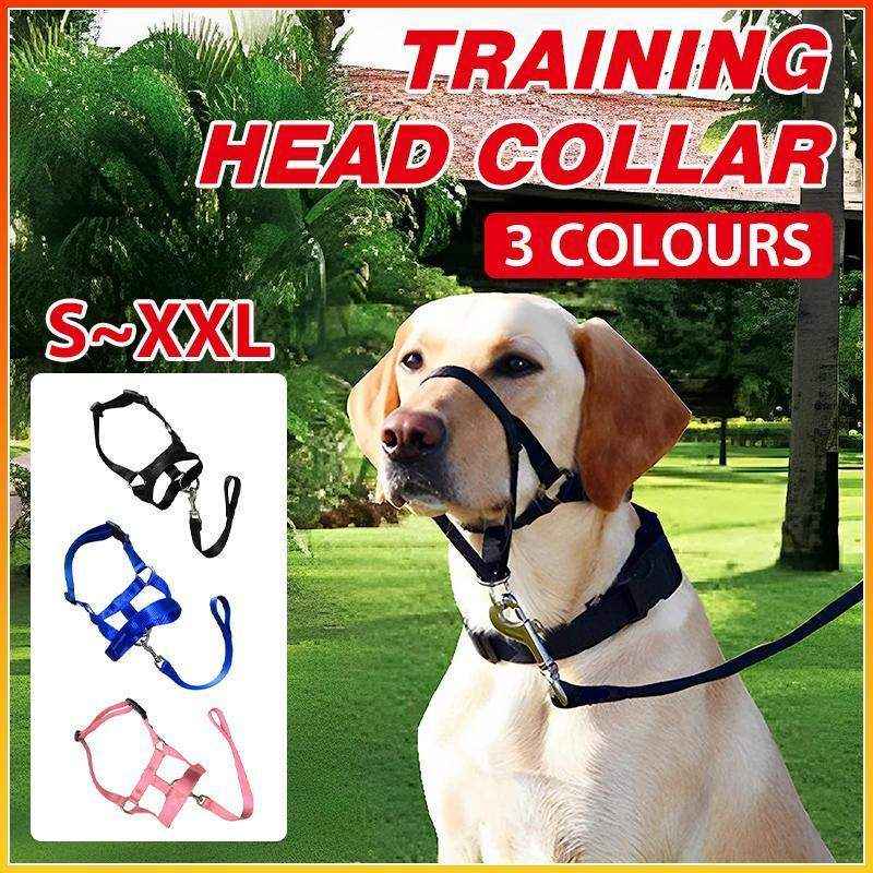 Adjustable Dog Muzzle Head Halter for Anti-Pull Training & Control - Image 4