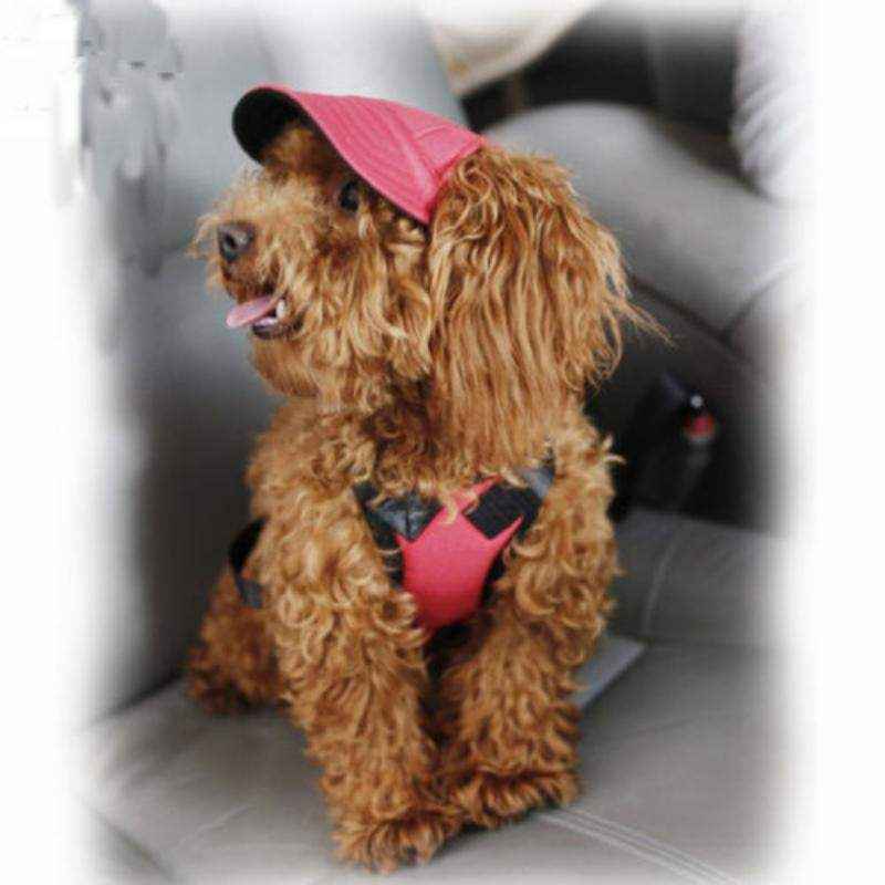 Adjustable Dog Sun Hat with UV Protection - Image 2