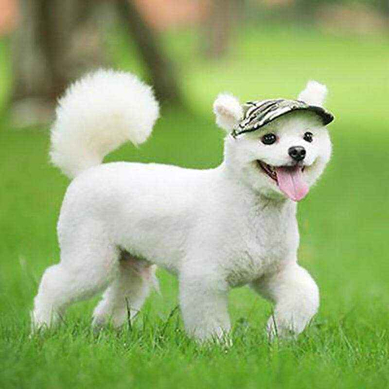 Adjustable Dog Sun Hat with UV Protection - Image 3