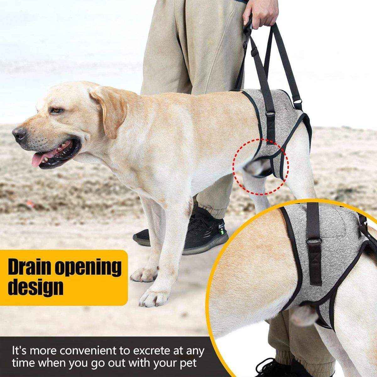 Adjustable Dog Vest Harness for Hind Leg Support Comfortable Fit - Image 11