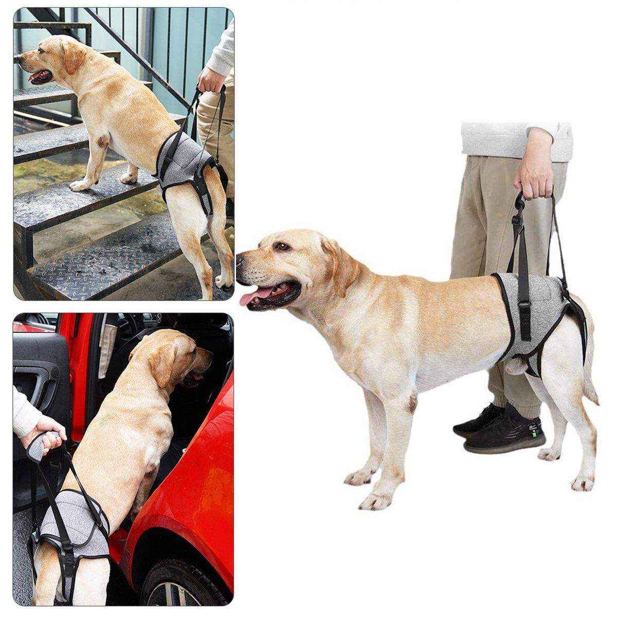 Adjustable Dog Vest Harness for Hind Leg Support Comfortable Fit - Image 13