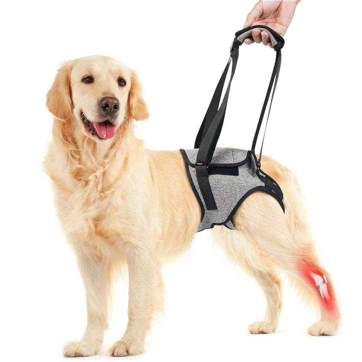 Adjustable Dog Vest Harness for Hind Leg Support Comfortable Fit - Image 3