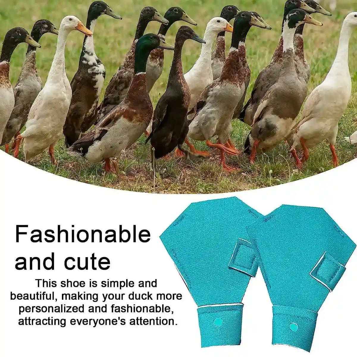 Adjustable Duck Shoes for Outdoor Foot Protection and Comfort - Image 10