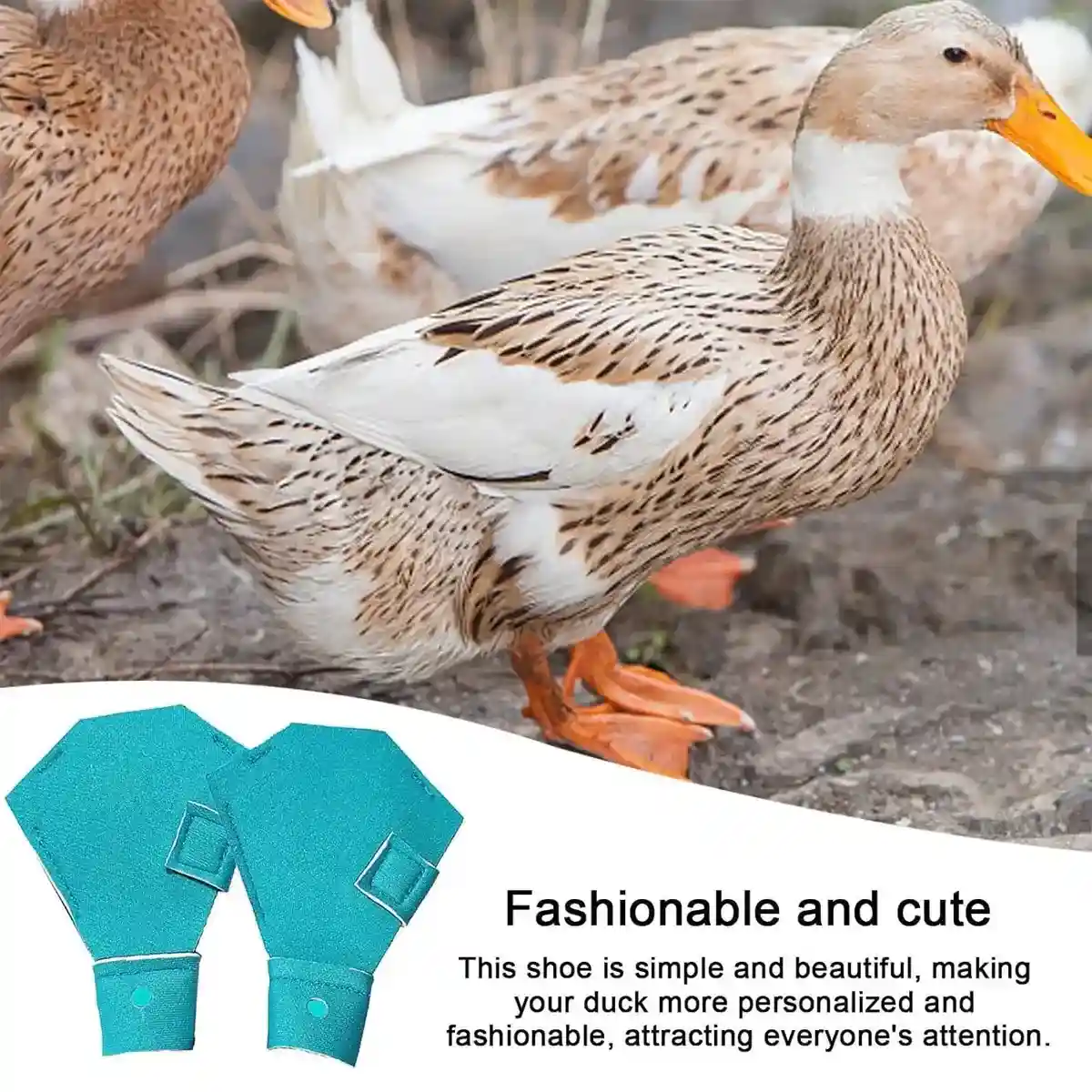 Adjustable Duck Shoes for Outdoor Foot Protection and Comfort - Image 11