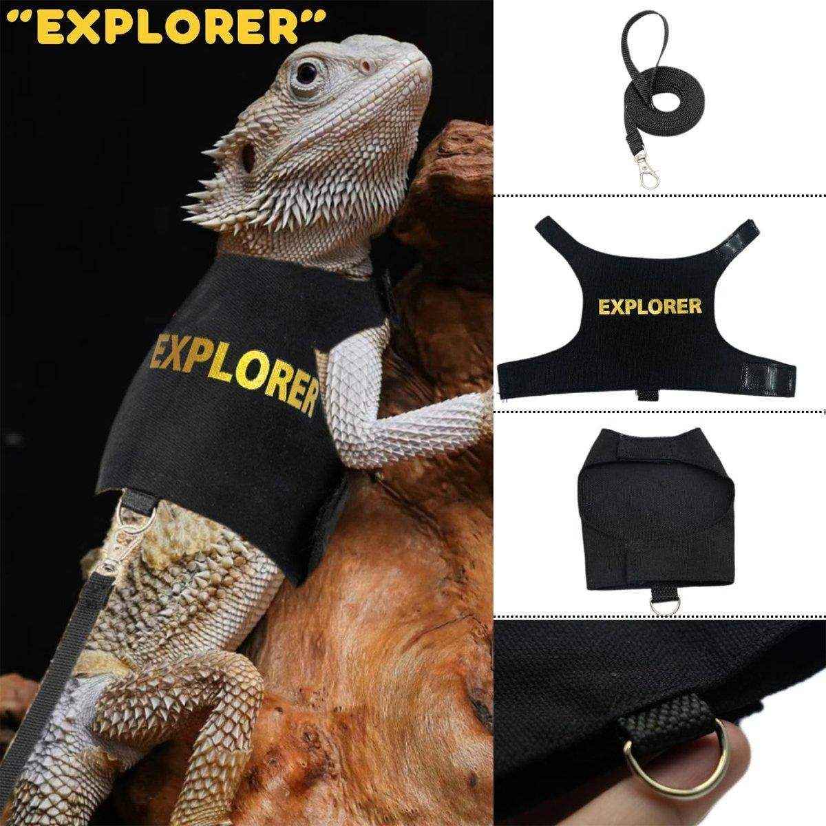 Lizard Leash Climbing Pet Out Chest Strap Chameleon Squirrel Leash - Image 10