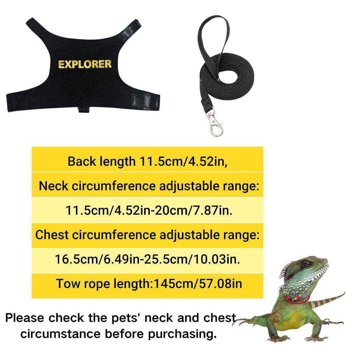 Lizard Leash Climbing Pet Out Chest Strap Chameleon Squirrel Leash - Image 11