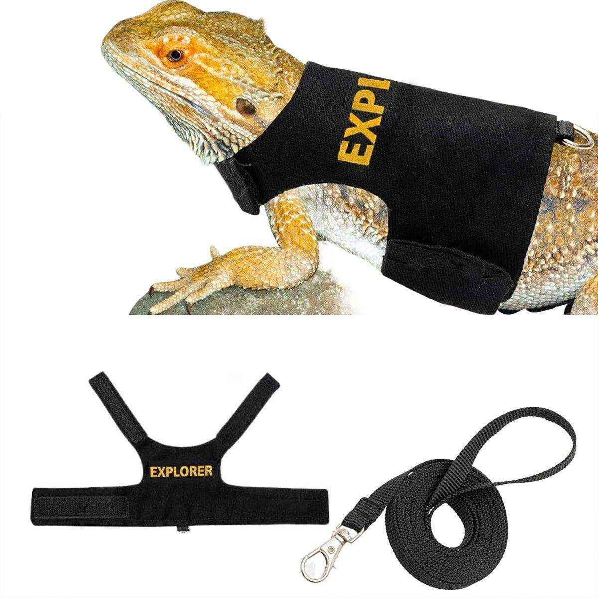 Lizard Leash Climbing Pet Out Chest Strap Chameleon Squirrel Leash - Image 4