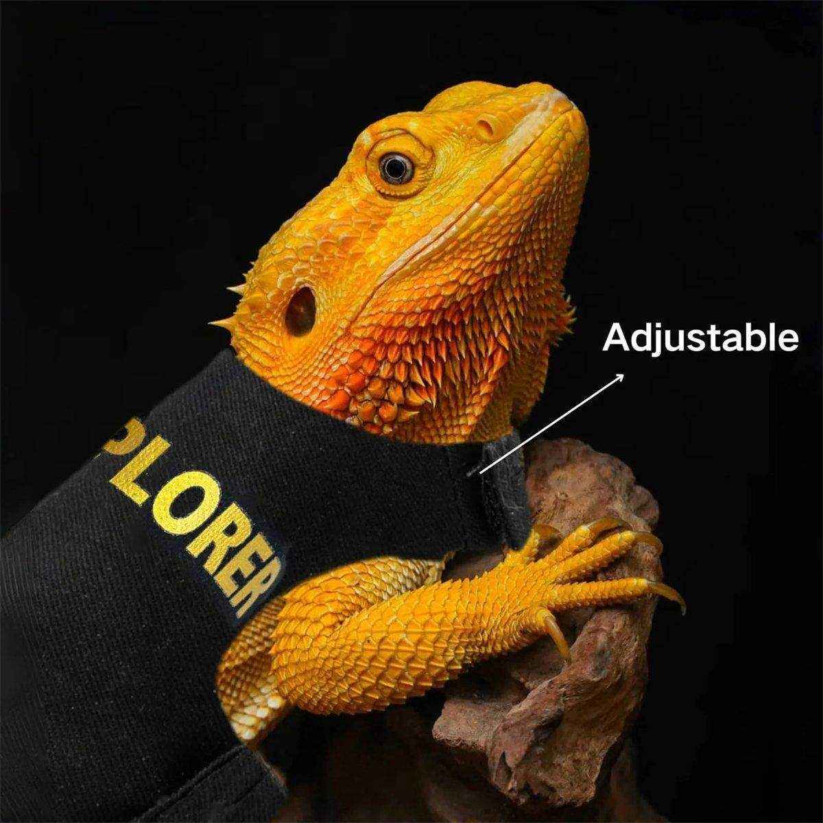 Lizard Leash Climbing Pet Out Chest Strap Chameleon Squirrel Leash - Image 6