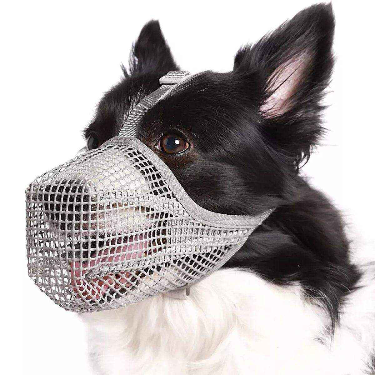 2PCS Adjustable Mesh Dog Muzzle Set Breathable Anti-Bite Muzzles - Image 10
