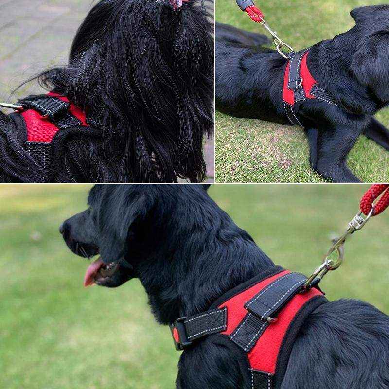 Adjustable Dog Harness Vest No-Pull Design - Image 11