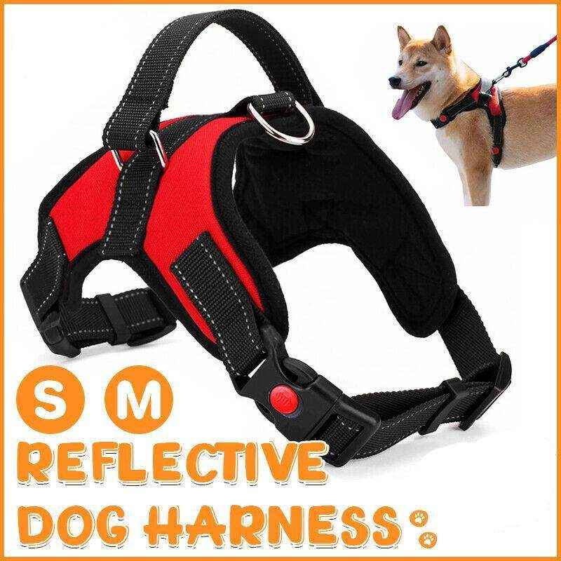 Adjustable Dog Harness Vest No-Pull Design - Image 12
