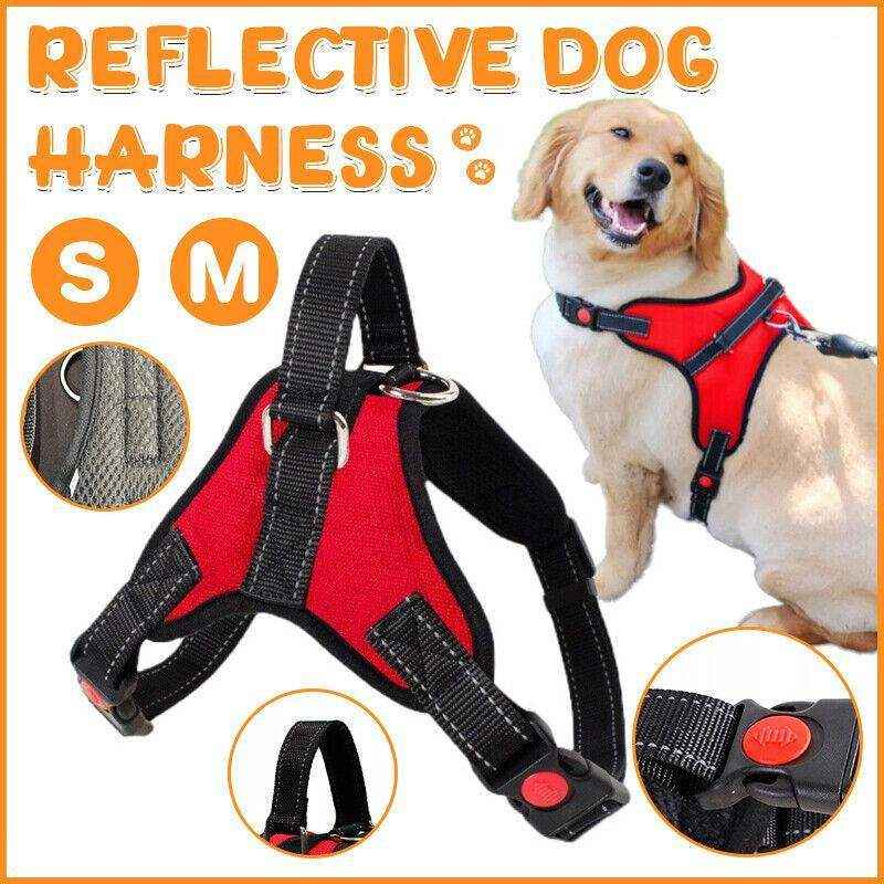 Adjustable Dog Harness Vest No-Pull Design - Image 3