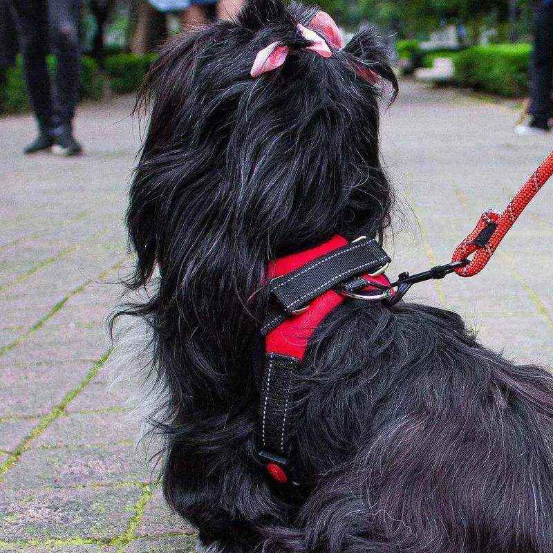 Adjustable Dog Harness Vest No-Pull Design - Image 9