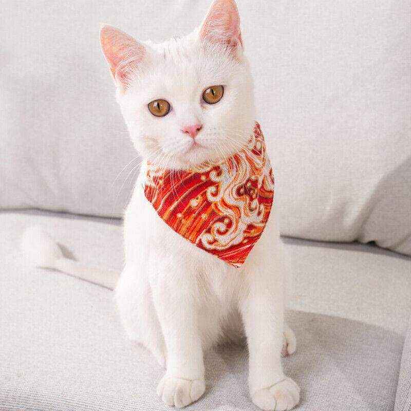 Adjustable Pet Bandana Collar with Personalised Pattern - Image 6