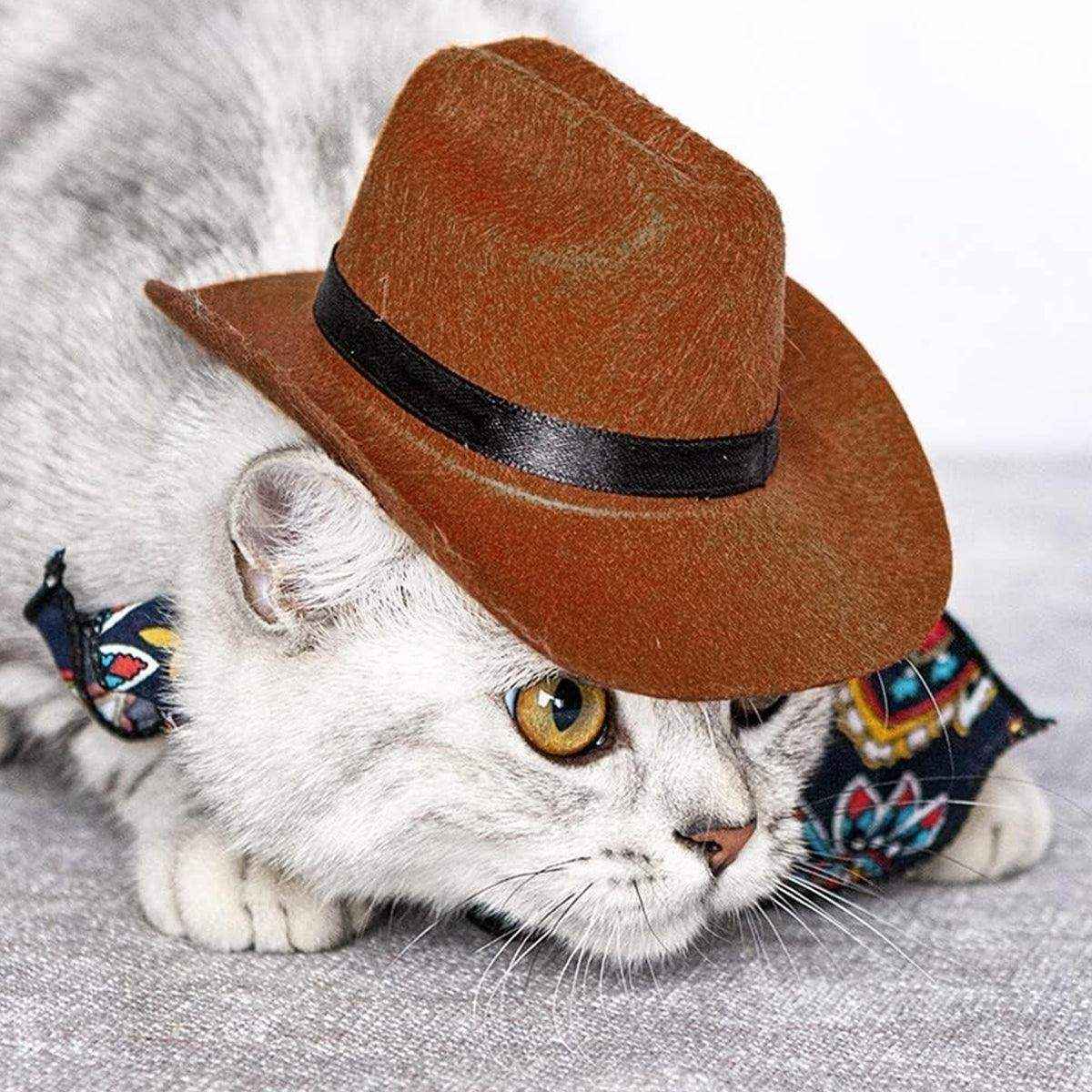 Adjustable Pet Cowboy Hat for Dogs and Cats Western Style Costume - Image 13