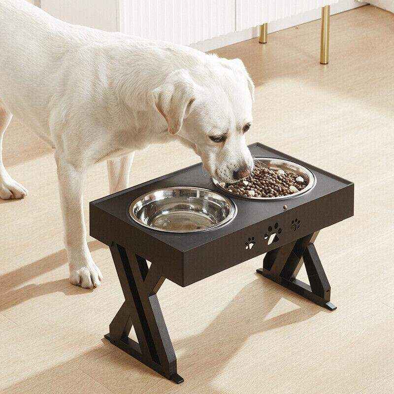 Elevated Pet Feeder With Two Bowls Stainless Steel Dog Bowls