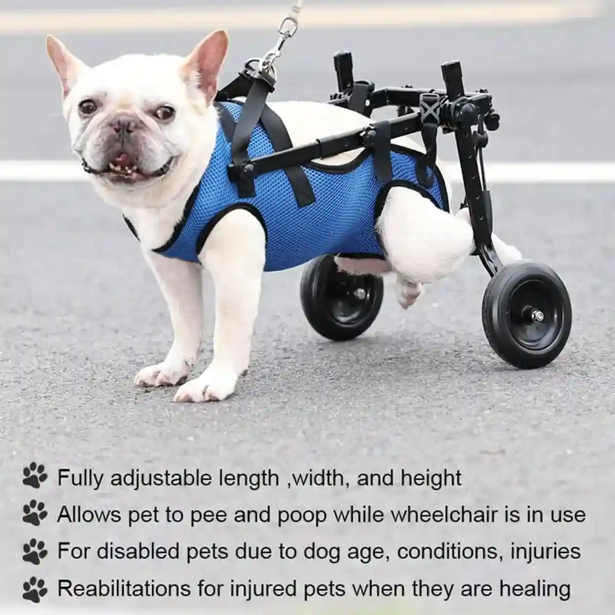 Adjustable Pet Wheelchair for Disabled Dogs and Cats (5.5–10kg) - Image 12