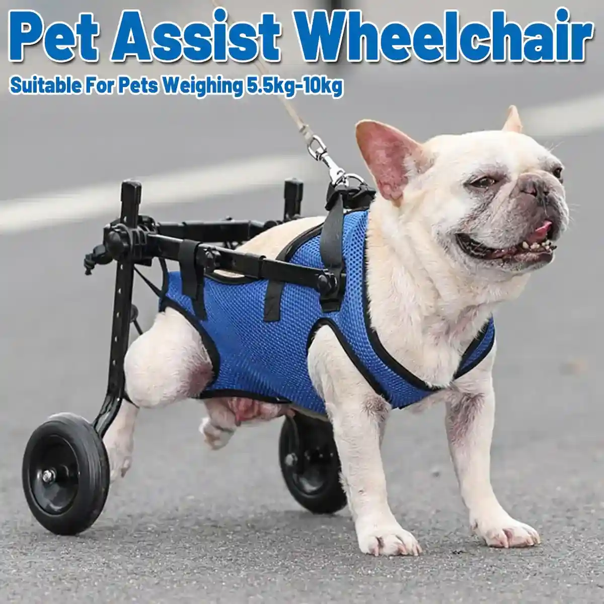 Adjustable Pet Wheelchair for Disabled Dogs and Cats (5.5–10kg) - Image 2