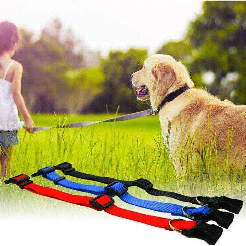 Adjustable Puppy Collar & Dog Collar Soft Durable Nylon in 5 Colours - Image 12