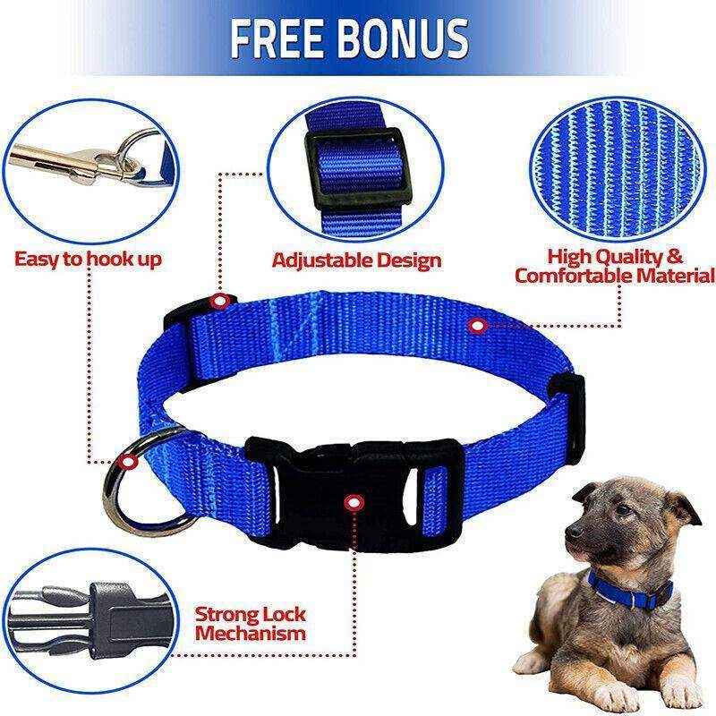 Adjustable Puppy Collar & Dog Collar Soft Durable Nylon in 5 Colours - Image 4