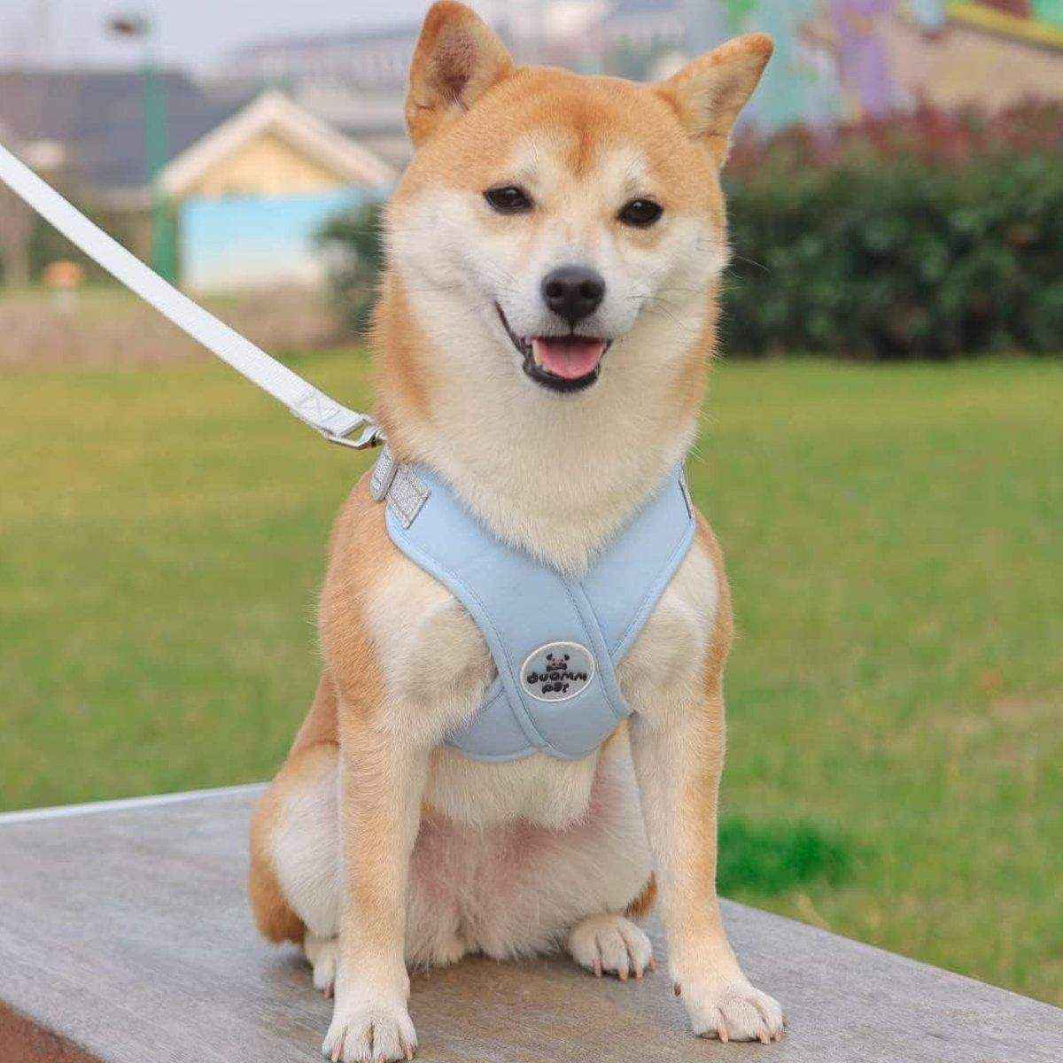 Adjustable Reflective Pet Harness and Leash Set for Small to Large Pets - Image 6