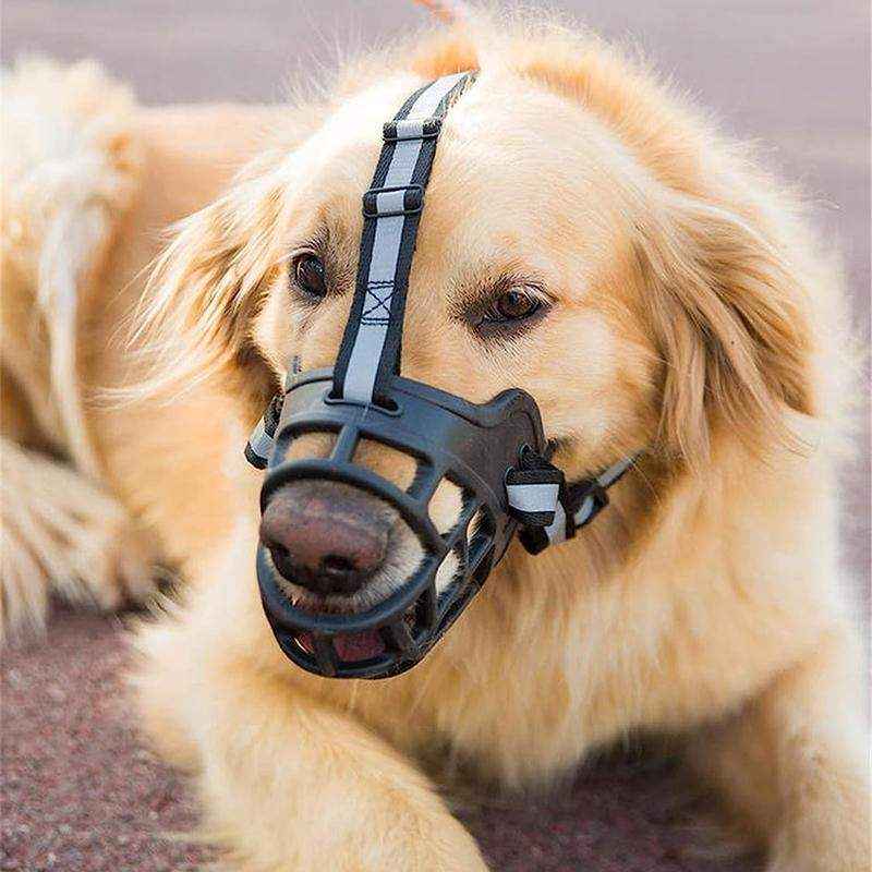 Adjustable Pet Dog Muzzle 6 Sizes - Image 7