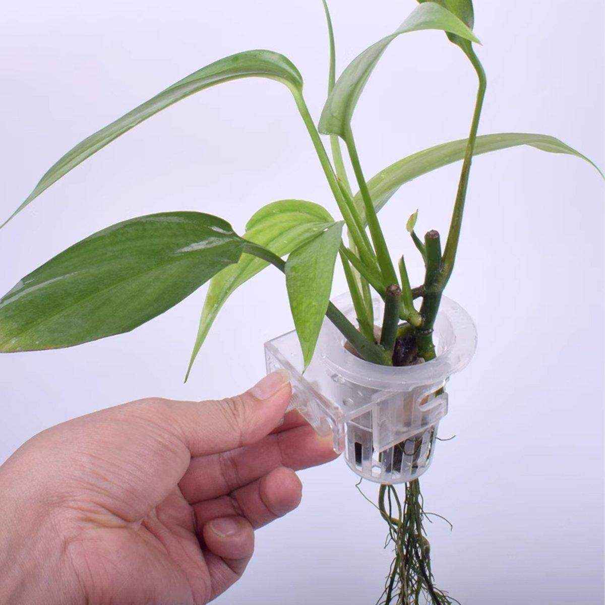 Adjustable Wall Mounted Aquatic Plant Cup for Emersed Plants and Water Grass - Image 6