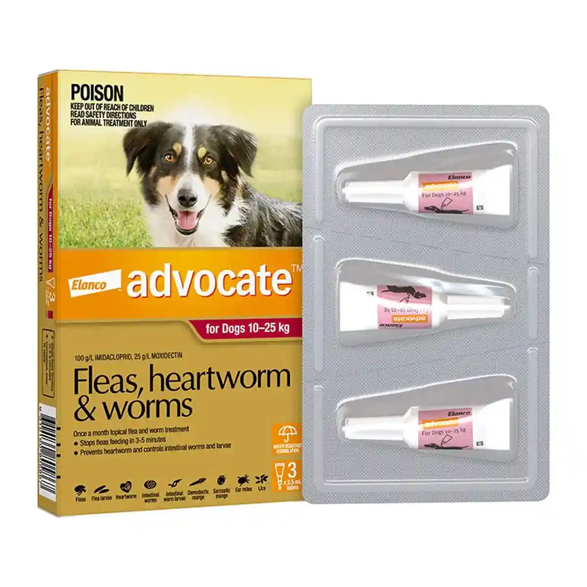 Advocate Spot-On For Dogs 10-25kg - Image 10