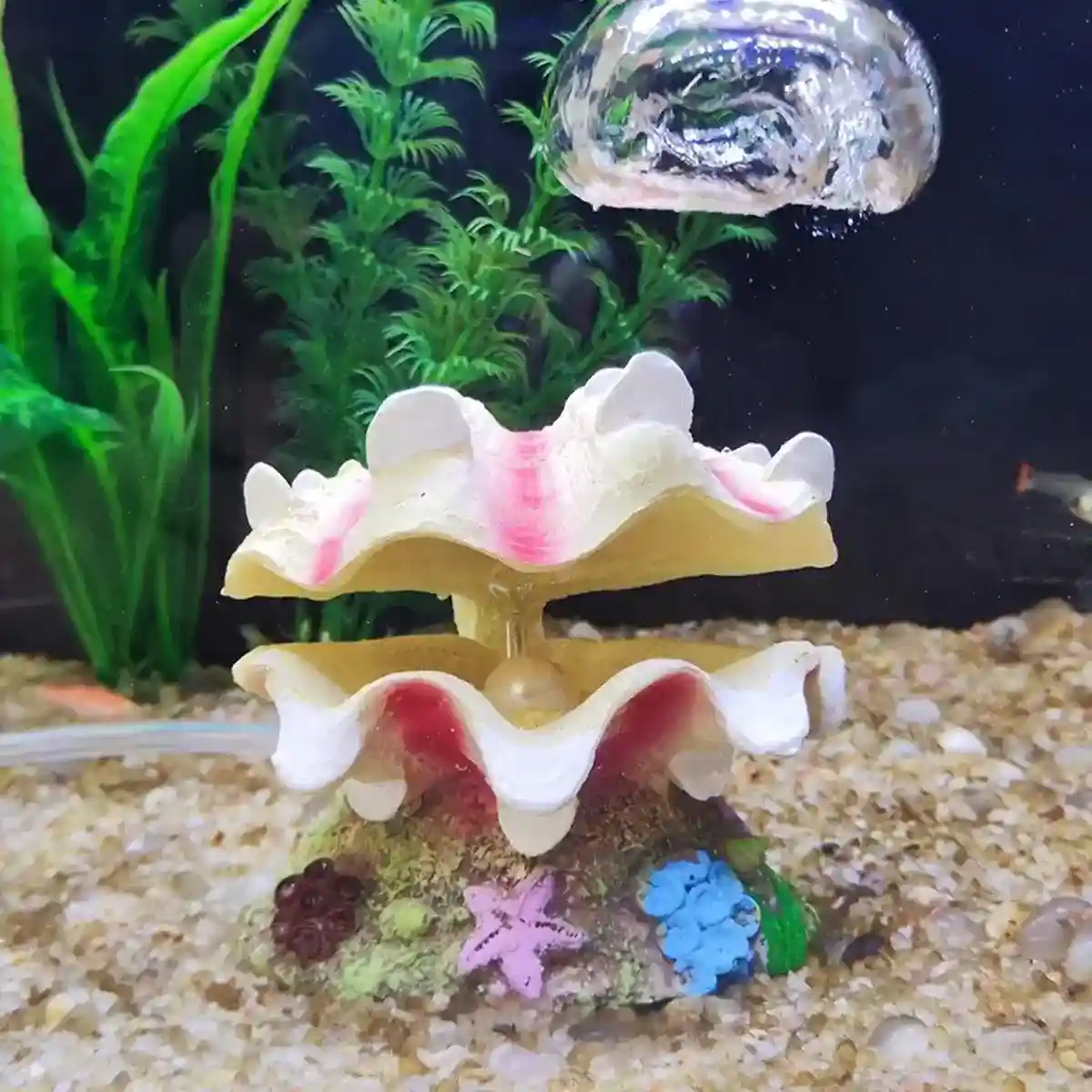 Animated Clam Shell Aquarium Decoration Air Pump Motion Ornament - Image 12