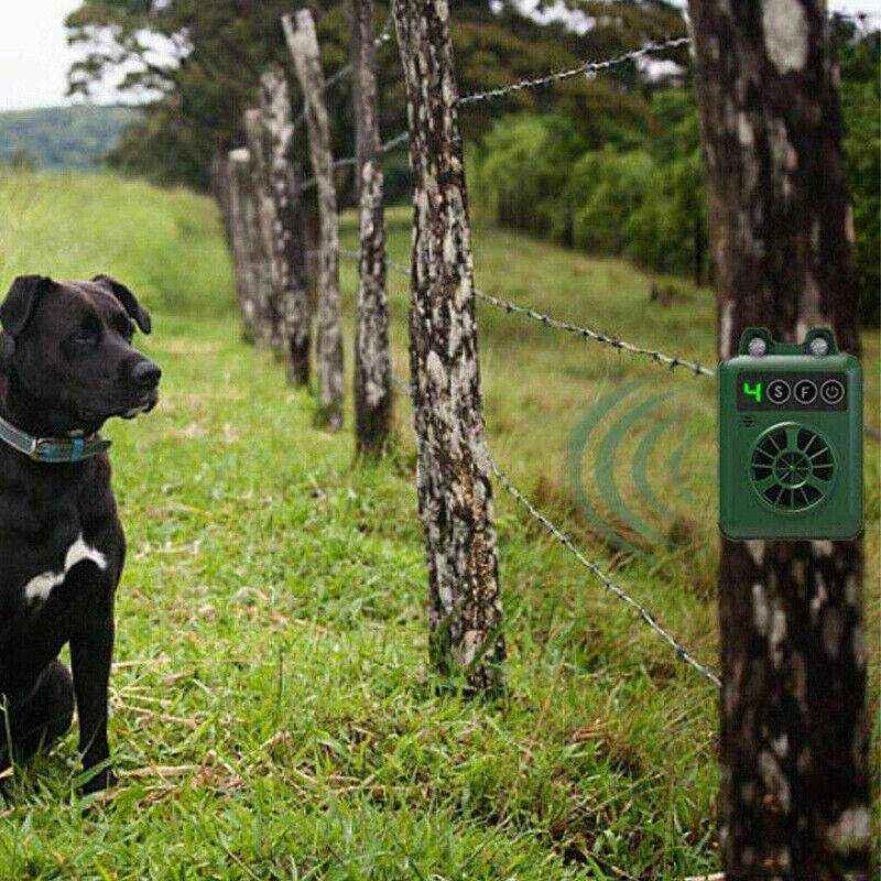 Effective Anti Barking Device Dog Barking Control with Multiple Frequencies - Image 9