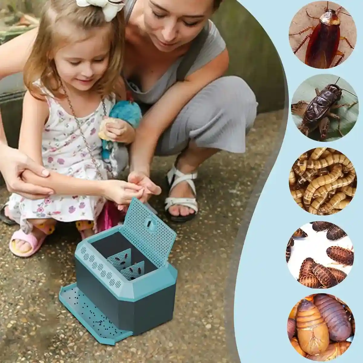 Anti-Escape Insect Breeding Box with Drawer - Image 13