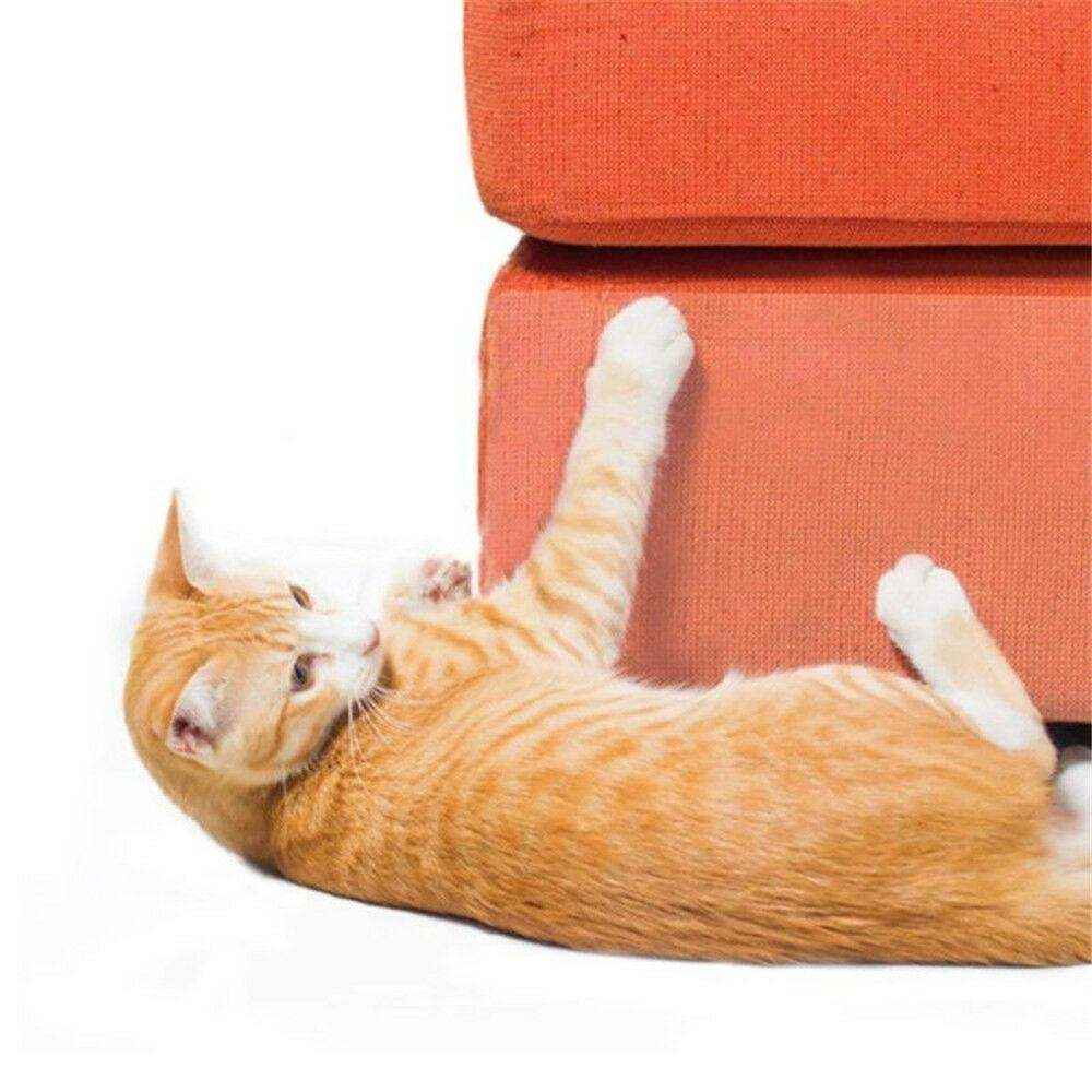 2/4/8/12pcs Couch Protectors for Cats - Image 3