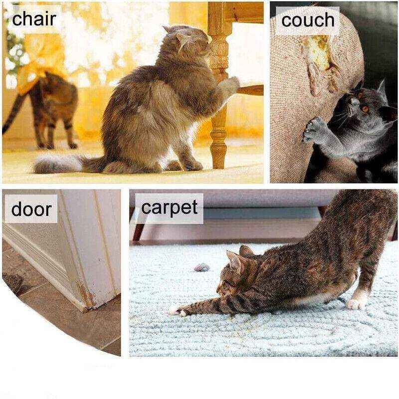 2/4/8/12pcs Couch Protectors for Cats - Image 9