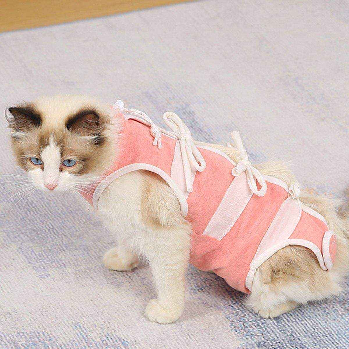 Breathable Anti-Slip Anti-Scratch Pet Neutering Recovery Suit for Cats and Dogs - Image 10
