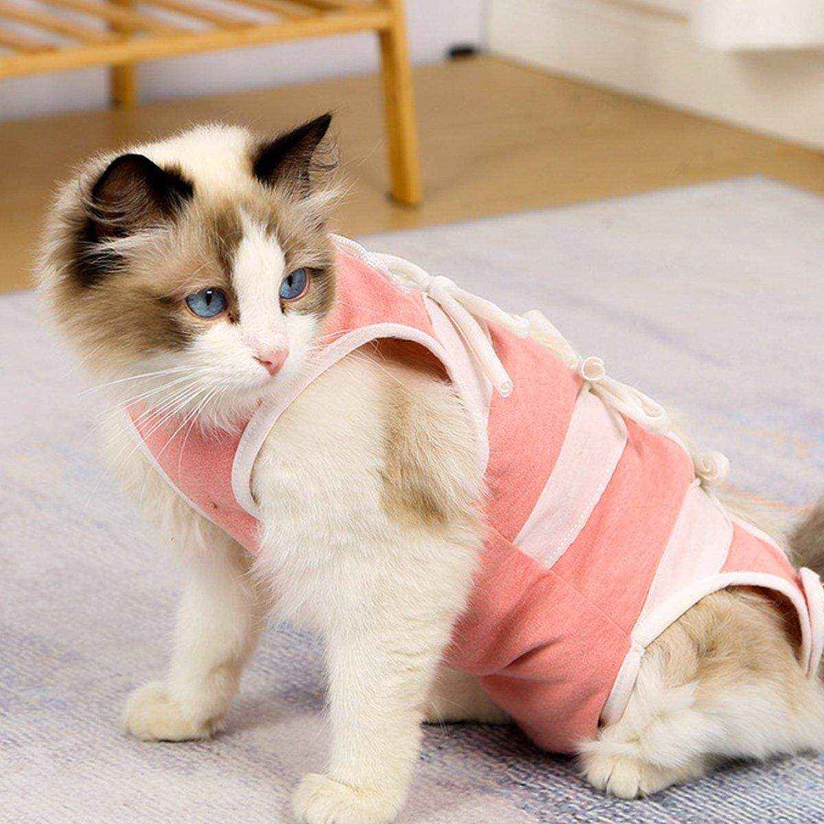 Breathable Anti-Slip Anti-Scratch Pet Neutering Recovery Suit for Cats and Dogs - Image 11