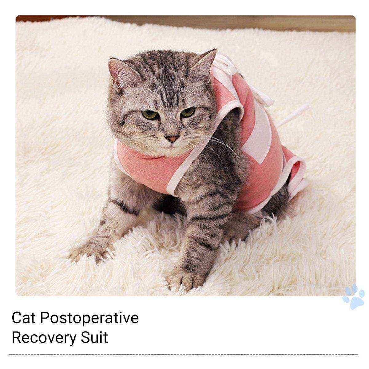 Breathable Anti-Slip Anti-Scratch Pet Neutering Recovery Suit for Cats and Dogs - Image 5