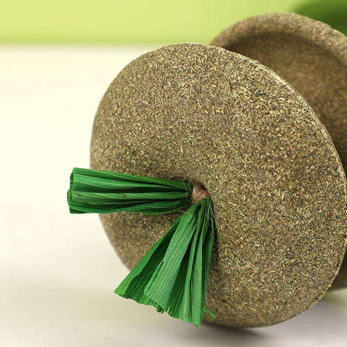 Apple Core Catnip Ball Toy for Interactive Play & Dental Health - Image 6