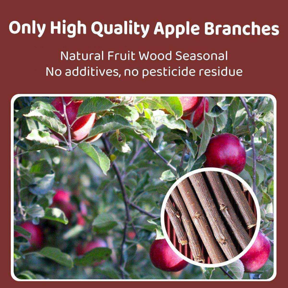 Natural Apple Sticks for Rabbits and Small Pet Chew Toy - Image 4