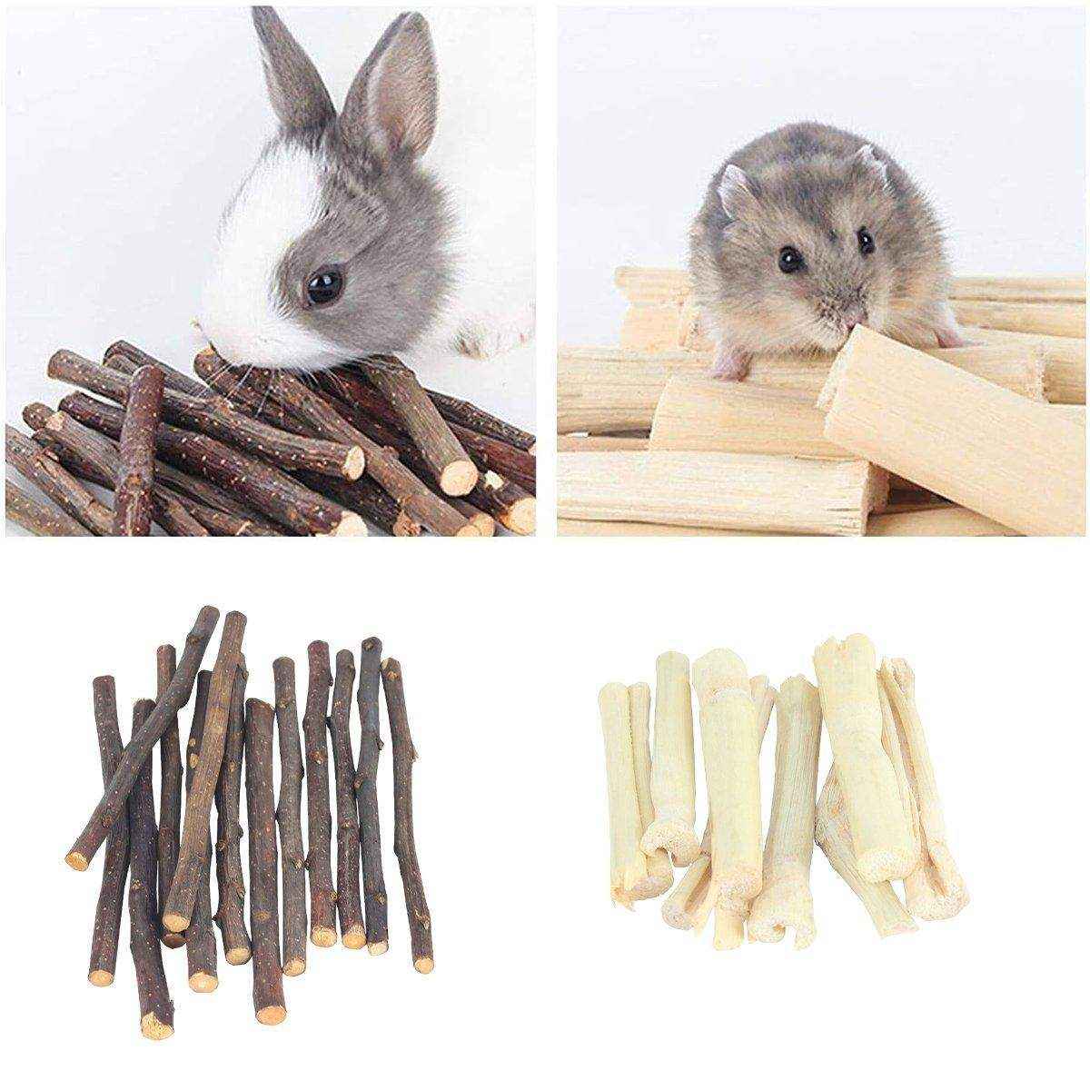 Natural Apple Sticks for Rabbits and Small Pet Chew Toy - Image 9