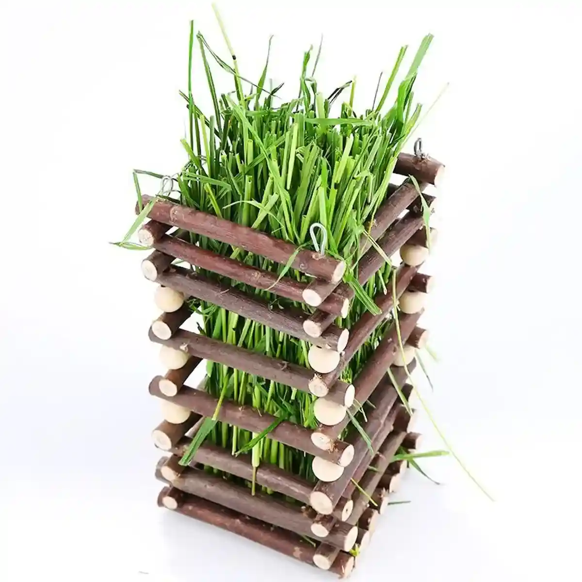 Applewood Hay Rack Feeder for Rabbits & Small Pets - Image 11
