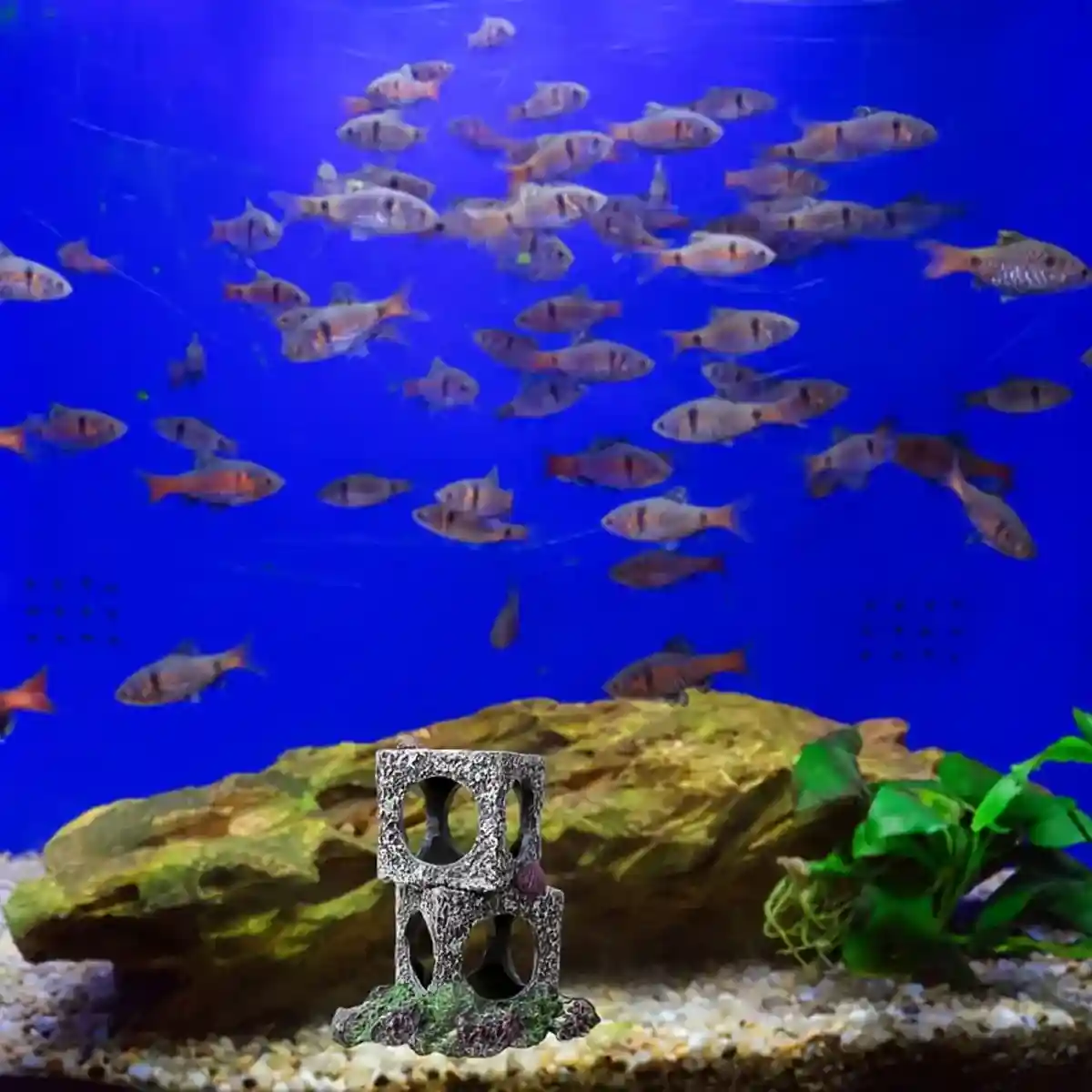 Square Aquarium Cave Resin Set for Small Fish Habitat and Aquascaping - Image 14