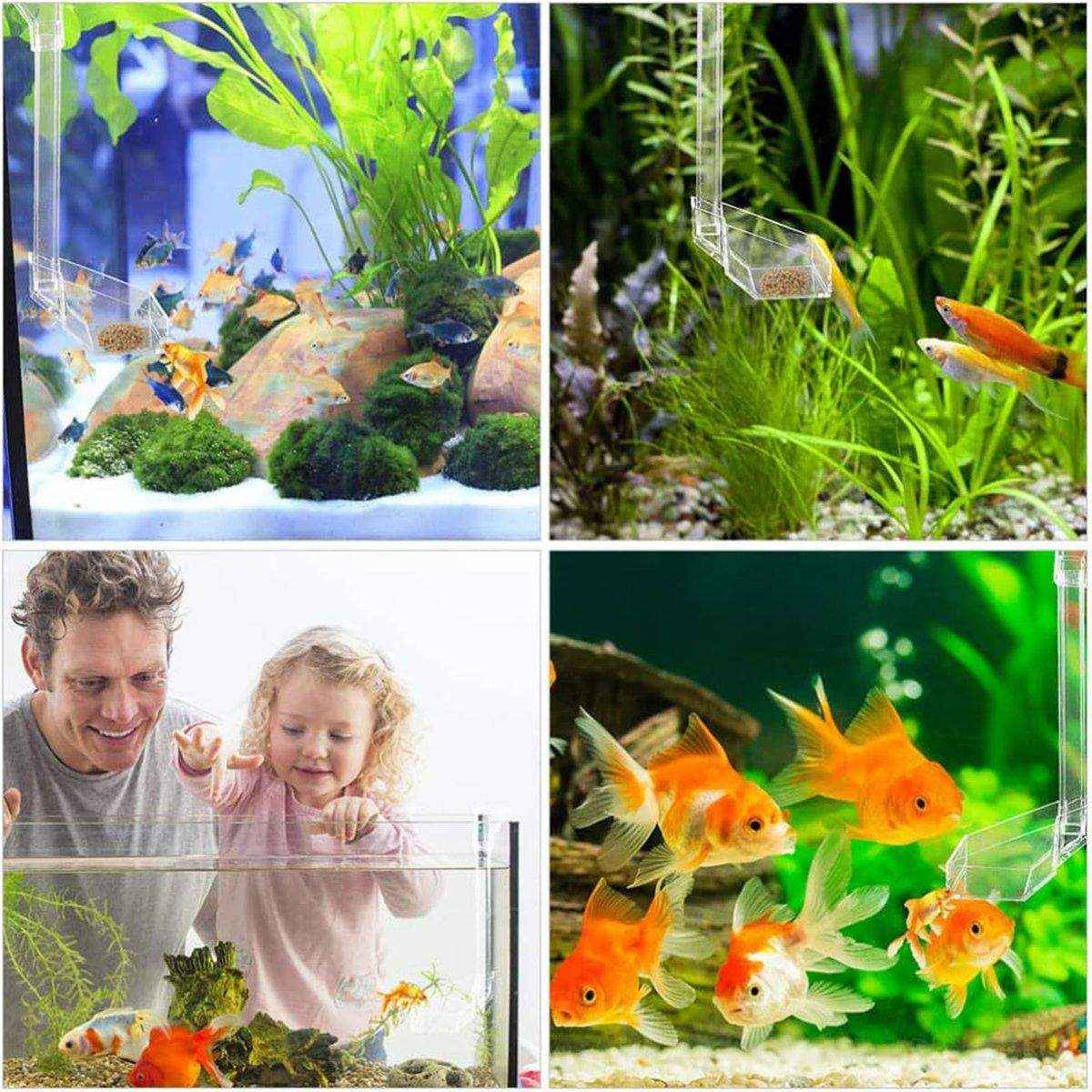 Aquarium Feeding Tube Floating Feeding Ring Shrimp Feeder - Image 13