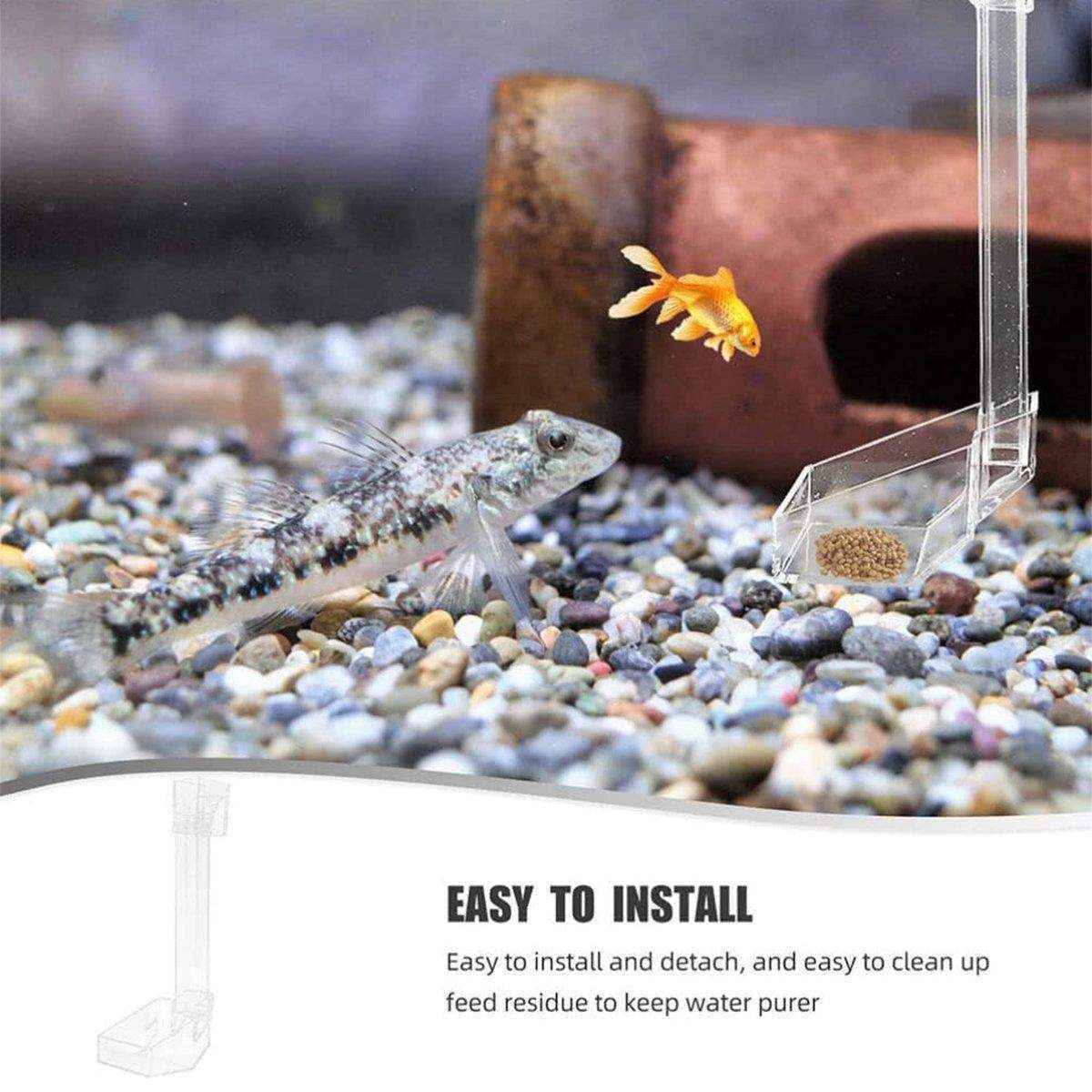 Aquarium Feeding Tube Floating Feeding Ring Shrimp Feeder - Image 14