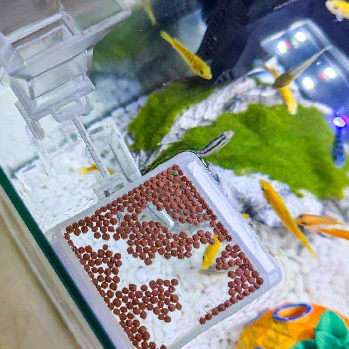 Aquarium Feeding Tube Floating Feeding Ring Shrimp Feeder - Image 4